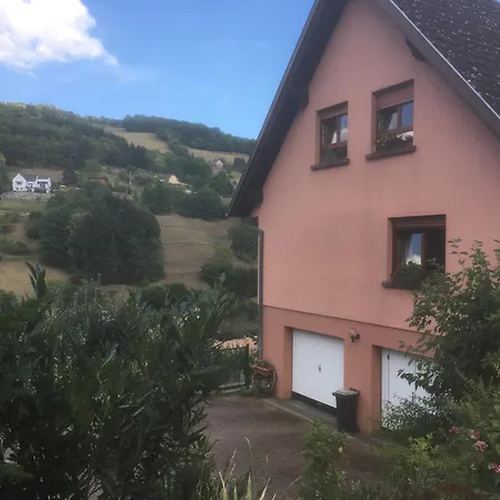 Logis En Montagne Chez Juju * Fréland