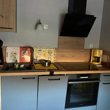 公寓 Logis En Montagne Chez Juju *