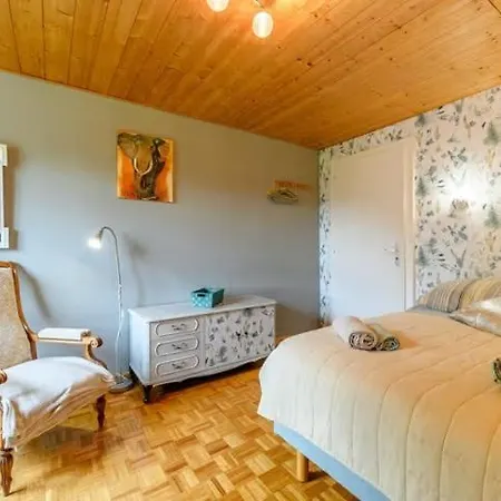 公寓 Logis En Montagne Chez Juju 弗瑞兰