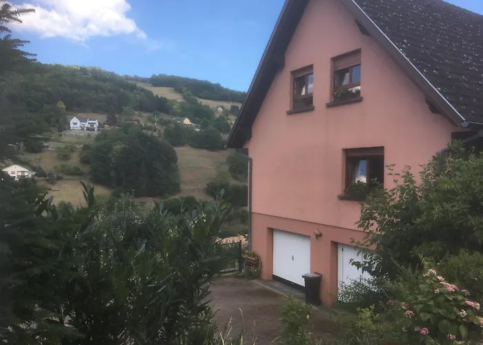 Logis En Montagne Chez Juju * Fréland